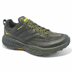 HOKA / Speedgoat 4 GTX