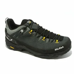 SALEWA / Alp Trainer 2 GTX Men