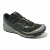 SALOMON / Sense Ride 4 invisible GTX