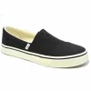 TOMS