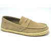 TOMS
